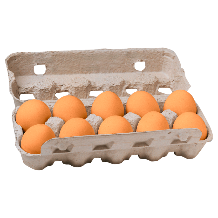 Buddendieck Eier Freilandhaltung 10 Stück